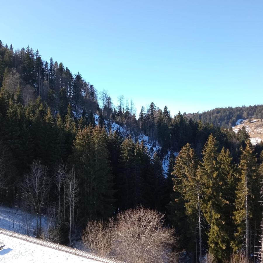 Appartement Dernier Etage Au Pied Des Pistes Hirmentaz Bellevaux Bagian luar foto